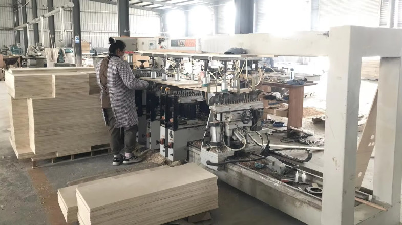 Qingdao Vitalucks Trade Co., Ltd. Fabrik Produktionslinie