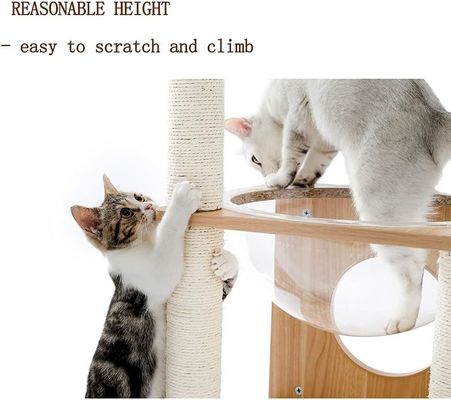 OEM ODM Akzeptiert Elegante Katzen Baum Raumkapsel mit schwimmendem Nest und Hängenden Kugeln