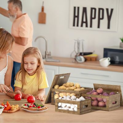 Halten Sie Ihre Küche sauber und ordentlich mit diesem Acryltransparenten Knoblauchbehälter