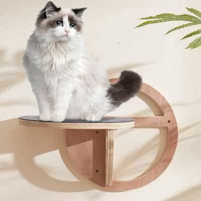 Elegante Weinkisten Holzkatzen-Wandtreppen Kletterregale für Spannung