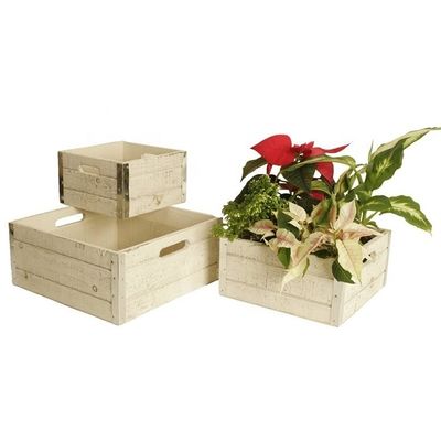 Unfertige Apfelkästen aus Holz für Handwerkskunst Set von 3 individuell angepassten Druckkästen