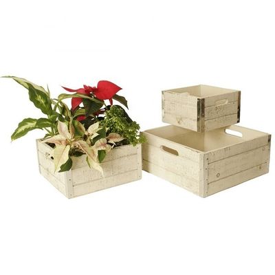 Unfertige Apfelkästen aus Holz für Handwerkskunst Set von 3 individuell angepassten Druckkästen