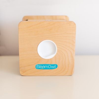 Holz persönliche Münzenbank für Kinder OEM ODM Akzeptiert Umweltfreundliches Bambusmaterial