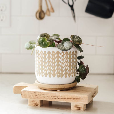 Pflanzenölmaterial Holz-Pedestall-Stand-Display-Tray