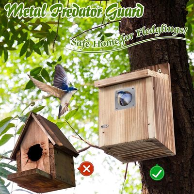 Personalized Logo akzeptabel 2 Pack Cedar Bluebird Box Häuser für den Außenbereich