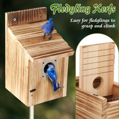 Personalized Logo akzeptabel 2 Pack Cedar Bluebird Box Häuser für den Außenbereich
