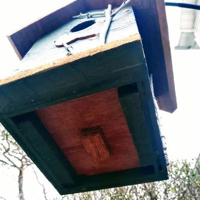 Handbemalte Kardinal- und Birkenbäume Holz Vogelhaus für Vogelarbeiter