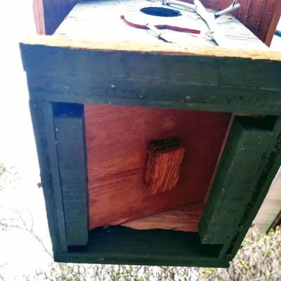 Handbemalte Kardinal- und Birkenbäume Holz Vogelhaus für Vogelarbeiter