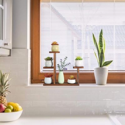 Wohnzimmer Anzeigeregal für saftige Kräuter Quadrat Umwelt Blumenregal Halter