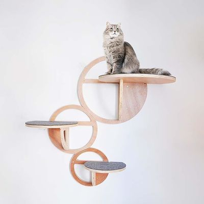 Holz Wand montierte Katzenregale Set von 3 nachhaltigen Katzenhaus für Katzen Kiefer Sperrholz