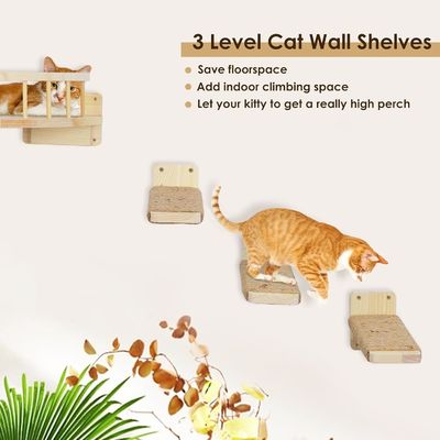 Farbe an der Wand Katzenregale und Stützpfeiler Nachhaltiges Holzdesign an der Wand