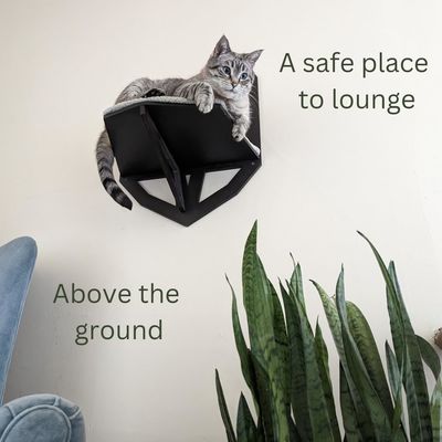 Funktion Speichern Sie Platz Wand montiert Katzenregal mit Regalen Stützpfeiler und hängendes Bett