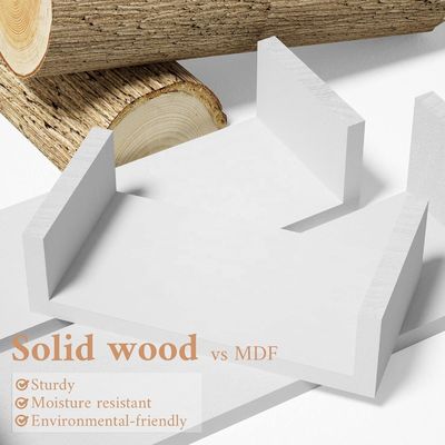 KEINE Faltflügelfeld für die Aufbewahrung und Anzeige von Bildern