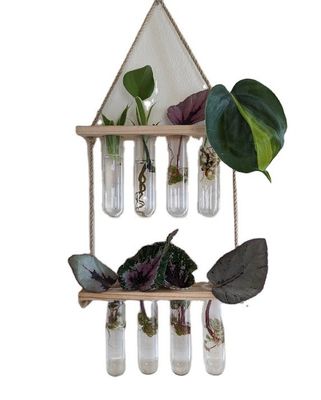 202407 Pflanzenvermehrungsanlage für OEM-Hydroponik-Vasenanlagen