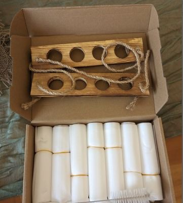 202407 Pflanzenvermehrungsanlage für OEM-Hydroponik-Vasenanlagen