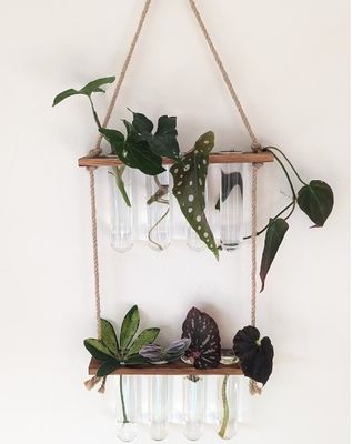 202407 Pflanzenvermehrungsanlage für OEM-Hydroponik-Vasenanlagen