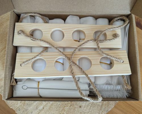 202407 Pflanzenvermehrungsanlage für OEM-Hydroponik-Vasenanlagen