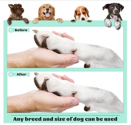 Zeit und Platz sparen 202407 Hunde-Kratzplatten für Nägel