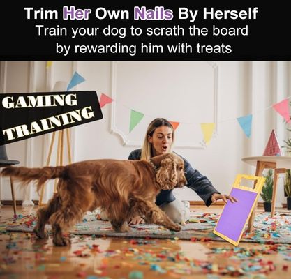 Hunde Nagel-File Kratzer Pad hohe Menge Vorteil für Hunde Nagel-Schleifen Nägel