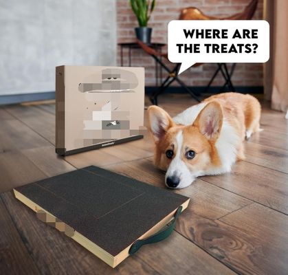 OEM Hunde Kratzer mit Leckerbissen Hunde Nagel Kratzer mit Griff Katze Kratzer