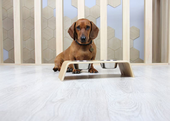 202407 Haustiergeschenk Personalisierte Holz-Erhöhung Lebensmittelstand mit zwei Edelstahlschalen