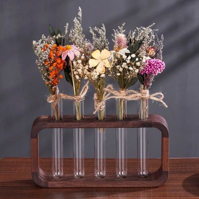 Platzsparende hydrophile Pflanzen Vase mit hohem Quantitätsvorteil in transparenten Glas