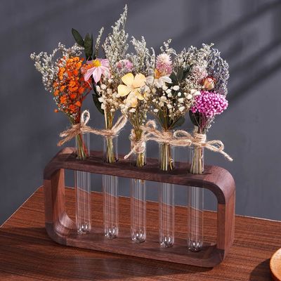 Platzsparende hydrophile Pflanzen Vase mit hohem Quantitätsvorteil in transparenten Glas