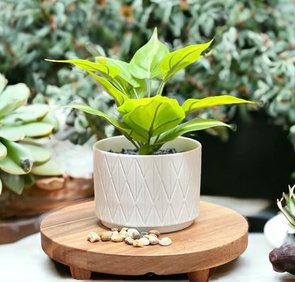 Acacia Holz Riser Runder Sockel Riser Board Holz Sockel Stand für Küchenbildschirm