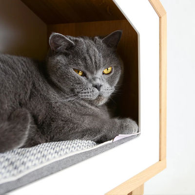 Katzenhaus in natürlicher Holzfarbe mit Lagerbehältern