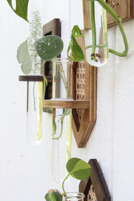 Wandhänger Boho Hydro-Pflanzer Wandpflanzer mit Seidenbildschirmdruck/Verbrannt