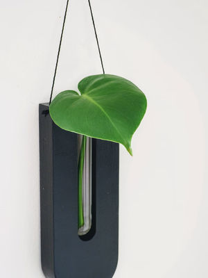 Vermehrungsstation Moderne Mini-Holzbox Wandpflanzer für Veranda und Wanddekoration Töpfe