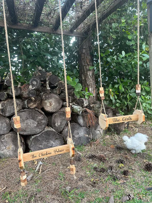 Hühner-Spielzeuge Wandbedeckung für Katzen und Tiere