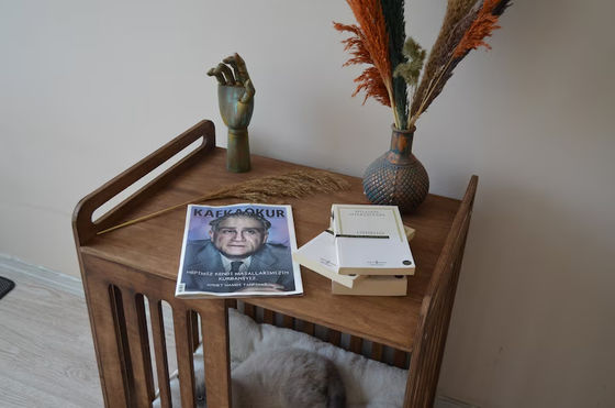 Innenkabine muss Platz mit Luxus-Abriss Holz Hunde Kiste Möbel sparen