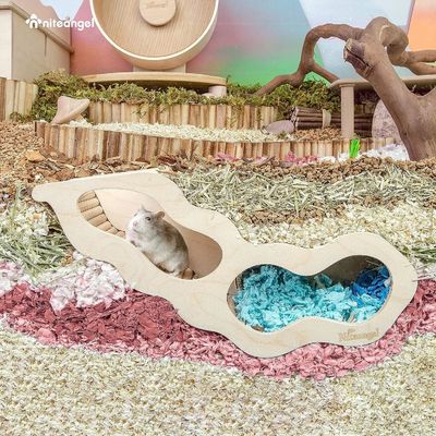 Beispiel kostenloses Holz-Hamsterhaus mit Kletterleiter und geheimen Peep-Tunnel