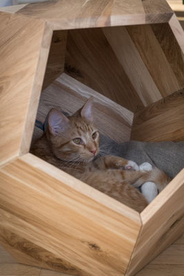 Behälter für den Haushalt Katzenbett Höhle im modernen Design mit Massivholz und Seitentisch