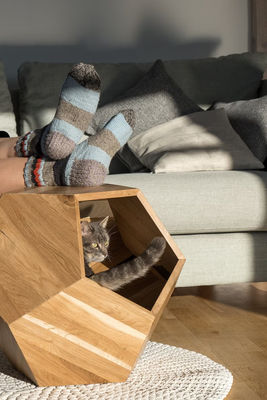 Behälter für den Haushalt Katzenbett Höhle im modernen Design mit Massivholz und Seitentisch