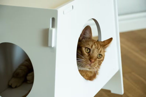 Holz Stuhl Haushaltsgerät Modernes Innenhaus Haustierkäfig Haus für Hunde und Katzen Wohnzimmer