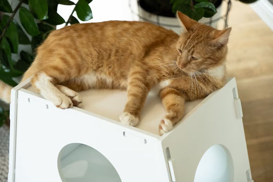 Holz Stuhl Haushaltsgerät Modernes Innenhaus Haustierkäfig Haus für Hunde und Katzen Wohnzimmer