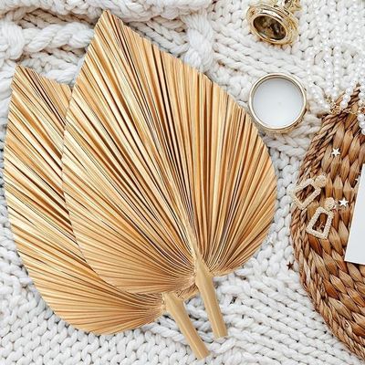 Vitalucks Logo Umweltschonend Kompostierbar Hand 4 Stück großes Naturgold Trockene Palmenblätter