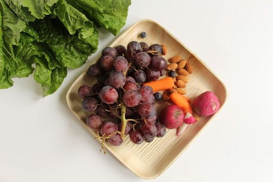 10-teiliges Set aus Palmblätterplatten für Hochzeitsessen Runde und quadratische Einweggerichte
