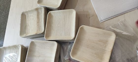 Umweltschonende 20 Packungen biologisch abbaubare Palmblätter 10 Zentimeter Quadrat stark wie Bambus Einweg elegant