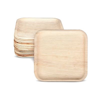 6x9 Zoll Palm Leaf Square Party Dinner Platten Öko-freundlich und Geschäftsgeschenke Gelegenheit