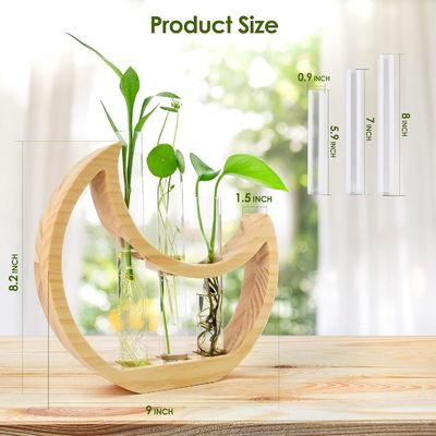 Jubiläums-Halbmond-Tischstand für Zimmerpflanzen und Bürodekor