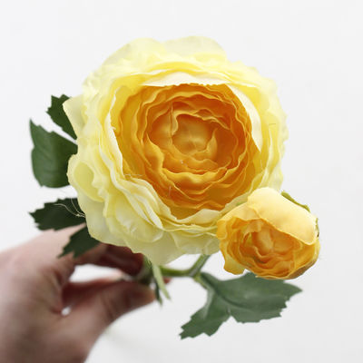 35cm lebensechte Paeonia Lactiflora künstliche Blüten die perfekte Ergänzung zu jedem Event