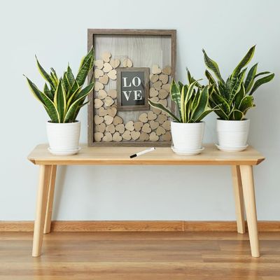 Holz und Glas romantische Hochzeitsdekoration Custom Drop Top Rahmen mit großem Foto-Einsatz