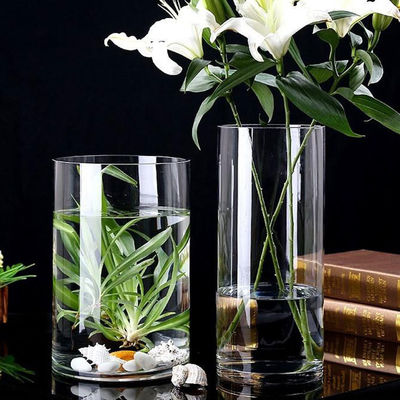 Minimalistische Design-Tischvase für klares Glas Zylinder Blumenvase im nordischen Stil