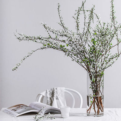 Zeitgenössischer Design Stil Elegante runde klare Glasvase für die Wohnkultur