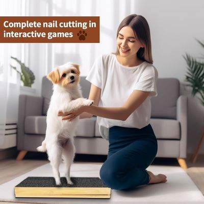 Katzen-/Hunde-Kratzplatte mit abnehmbarer Abdeckung und in unterschiedlichem Winkel verstellbarer Nagelfilze