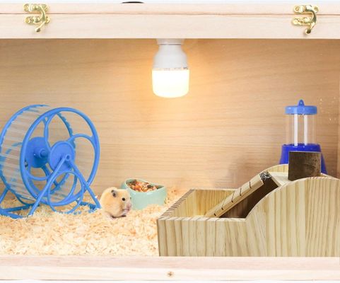 Holz Sandbad Box mit Kletterleiter und Haus Design Chinchilla Bad Bo