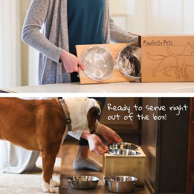 Mittelgroße Hunde-Erhöhung Schüssel Stand 7 Erhöhung Schüsseln Pet Feeder mit vier Edelstahl Schüsseln